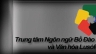 Thiết kế website Trung t&acirc;m Ng&ocirc;n ngữ Bồ Đ&agrave;o Nha & Văn h&oacute;a CPLP