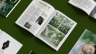 Việt magazine