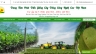 thiết kế v&agrave; lập tr&igrave;nh website
