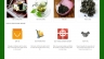 X&acirc;y dựng website giới thiệu sản phẩm