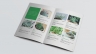 Thiết kế catalog