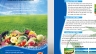 Thiết kế Brochure cho c&ocirc;ng ty Việt Quốc Thịnh