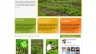 Website c&acirc;y sưa đỏ