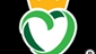 Tối ưu website