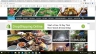 SEO website vivuhanoi.com