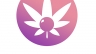 Logo Kimo Store