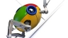 Web Crawler