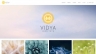 Thiết kế website vidyainstitute nước ngo&agrave;i