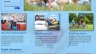 thiế kế website http://www.medicalinsurancedirect.co.uk/