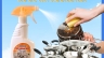 Thiết kế gian h&agrave;ng shopee cho shop Chicaphe