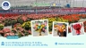 Quản trị Fanpage Mộc Lam Flower Market