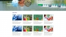 Website Cty Ho&aacute; chất T&acirc;n Hưng Ph&uacute;