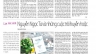 VIẾT B&Agrave;I REVIEW S&Aacute;CH