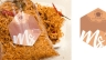 Ms/food.