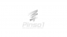 Pinso1_Upgrade Logo