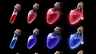 Potions