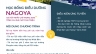Flyer quảng c&aacute;o dịch vụ
