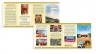 Thiết kế Brochure