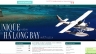 Thiết kế giao diện website http://yourvietnamtrip.com/