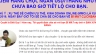 Sale page Dương Tự Điềm