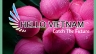 Thiết kế cover FB
