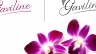 Gaviline