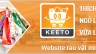 Website raovat