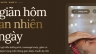 Website Spa Dưỡng Sinh Phương Quy&ecirc;n
