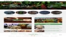 Website c&ocirc;ng ty c&agrave; ph&ecirc; chi nh&aacute;nh VN