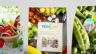 ART DIRECTION - CRETIVE STRATEGY DESIGN