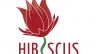 Logo Hibiscus