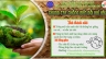 Poster tuy&ecirc;n truyền chống biến đổi kh&iacute; hậu