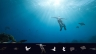 Thiết kế ảnh Manipulation - Flying In The Sea