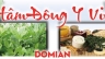Banner Đ&ocirc;ng Y