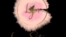 design logo