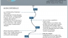 CURRICULUM VITAE