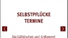 Obsthof am Steinberg - OpenCart E-commerce Website
