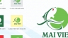 THIẾT KẾ LOGO