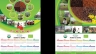 Thiết kế Lịch treo tường