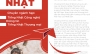 Thiết kế brochure