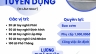 thiết kế banner
