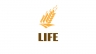 Thiết kế logo