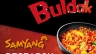 Powerpoint Presentation Design | SAMYANG FOOD Research
