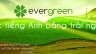 Thiết kế v&agrave; ph&aacute;t triển website trung t&acirc;m Anh ngữ Evergreen English Center