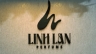 Thiết kế logo