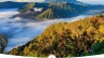 Oceanlink Travel