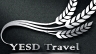 Thi&ecirc;́t k&ecirc;́ logo YESD