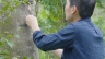 Chỉnh sửa m&agrave;u sắc video
