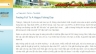 Viết nội dung cho Website