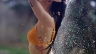 Chụp Ảnh Thời Trang